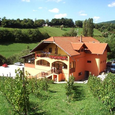 Klet Jana Bed & Breakfast Jastrebarsko Esterno foto
