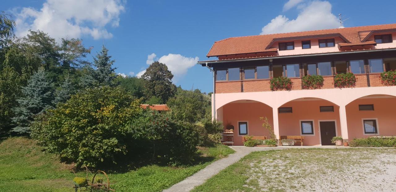 Klet Jana Bed & Breakfast Jastrebarsko Esterno foto