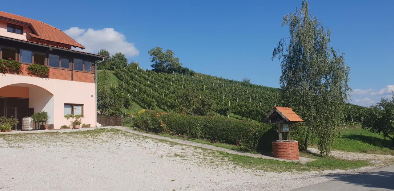 Klet Jana Bed & Breakfast Jastrebarsko Esterno foto