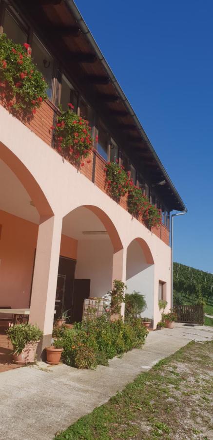 Klet Jana Bed & Breakfast Jastrebarsko Esterno foto