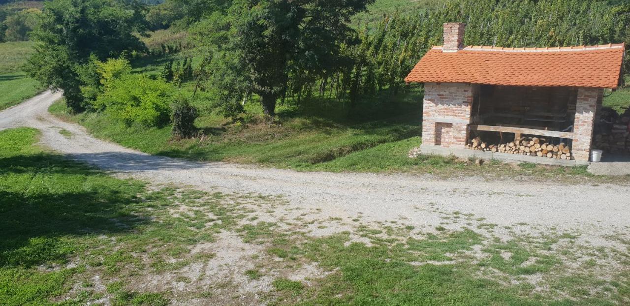Klet Jana Bed & Breakfast Jastrebarsko Esterno foto