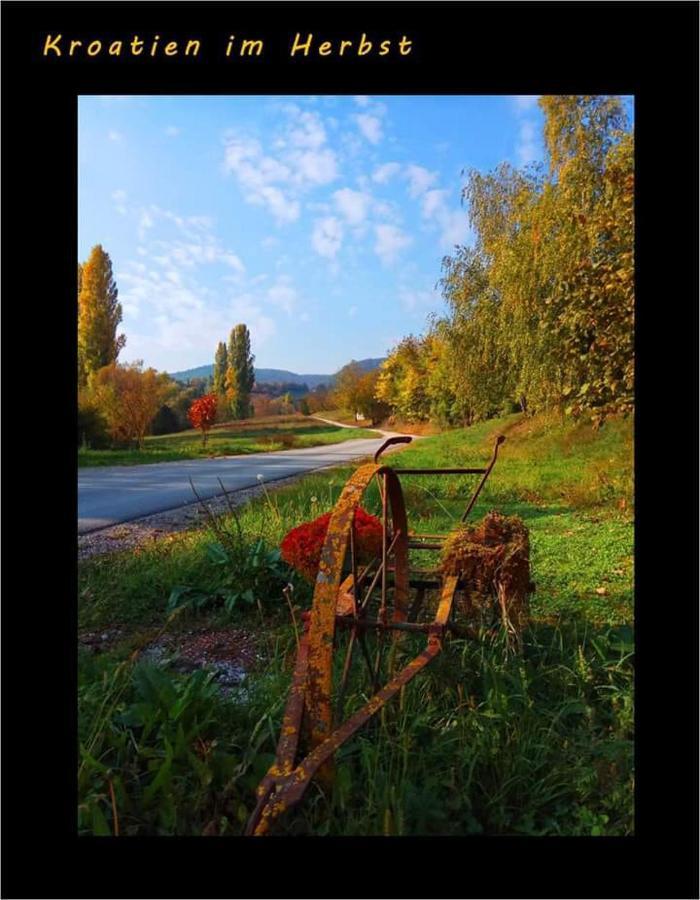 Klet Jana Bed & Breakfast Jastrebarsko Esterno foto